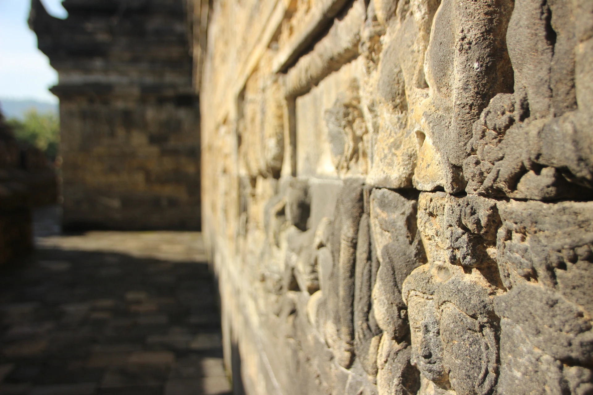 ¿Cuánto cobran en las ruinas de Palenque Chiapas?